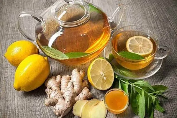 فروش گیاه دارویی به لیمو خشک شده + قیمت خرید به صرفه